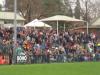 2008 -Queens B'day, Box Hill v Bendigo - terrace crowd